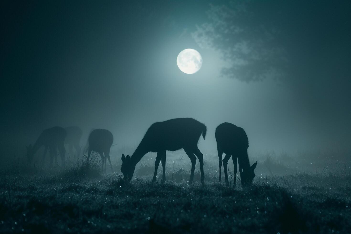 Moonlight Filtering Through Mist Casting Silver Glow on Family of Deer Grazing in Meadow Background in Nature photo