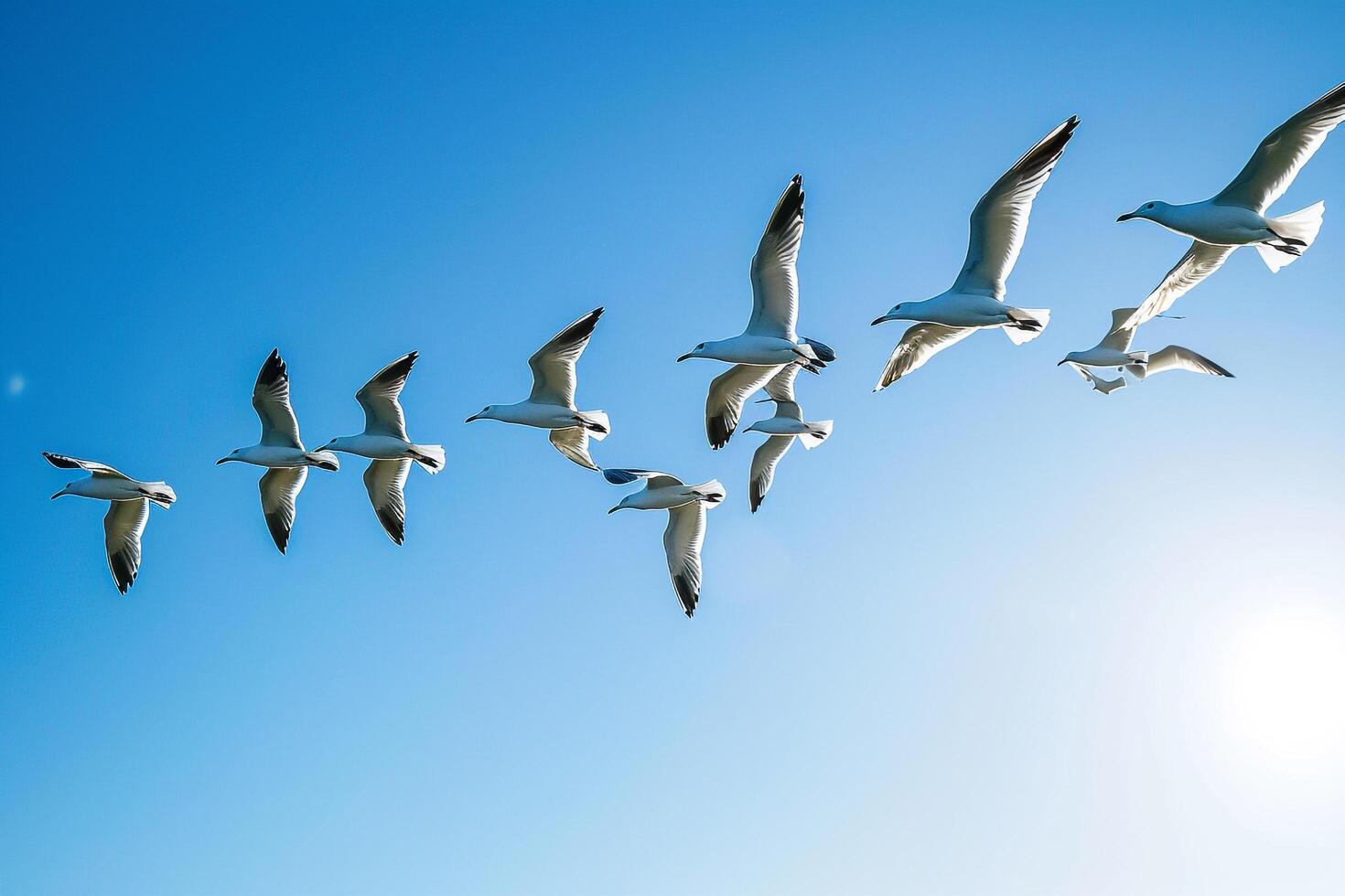 Migratory Birds Flying in Formation Against a Clear Blue Sky During Autumn Nature Background photo