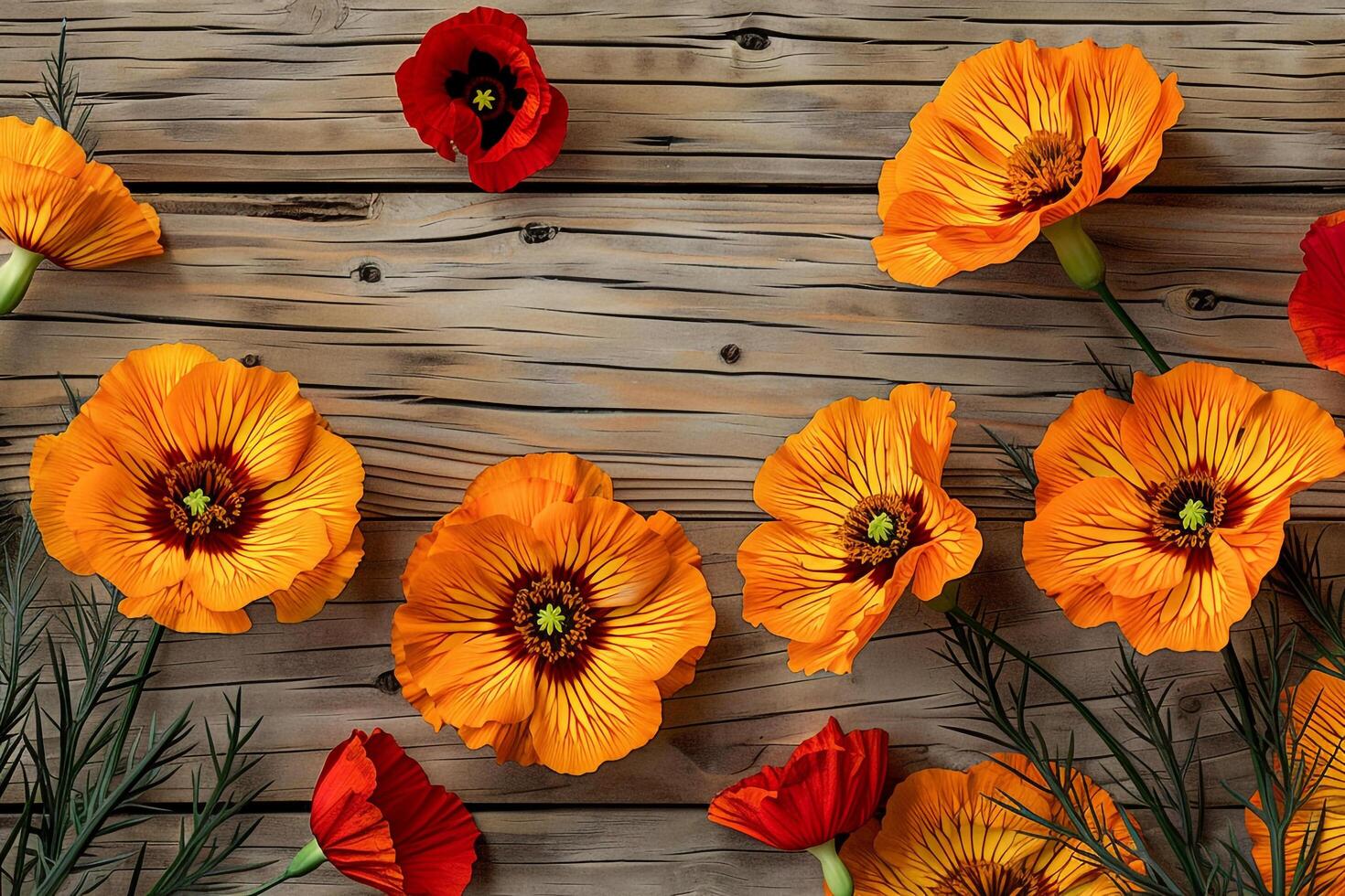 Marigold and Poppy Flowers on Rustic Wood Texture. Nature Background photo