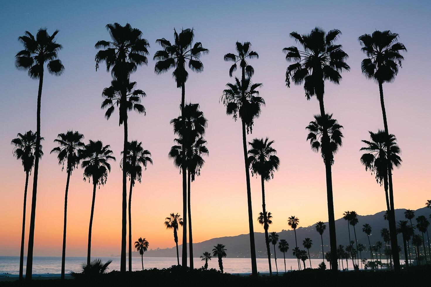 Palm Trees Silhouetted Against Twilight Sky Nature Background photo
