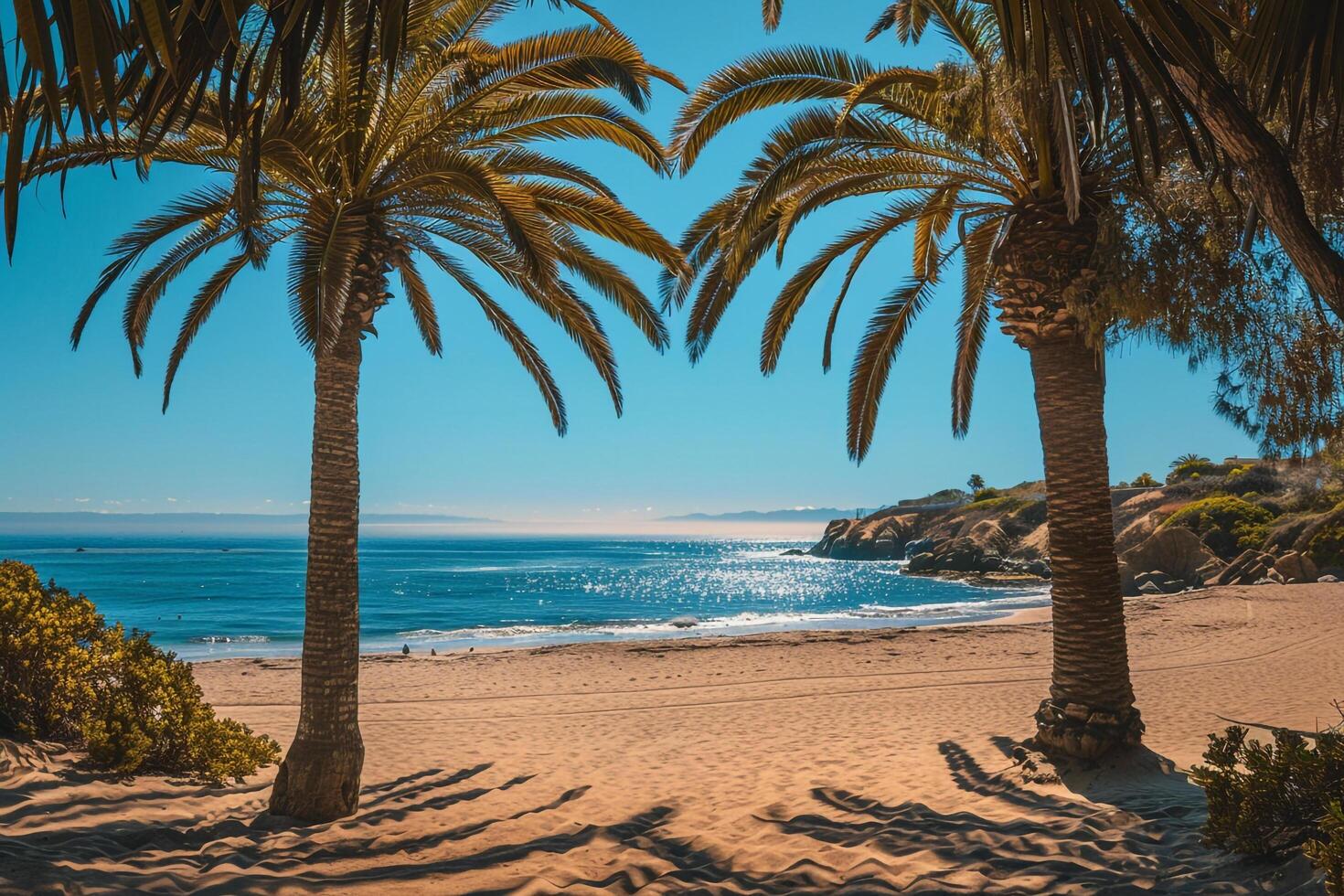 Secluded Cove with Palm Trees and Golden Sand Nature Background photo