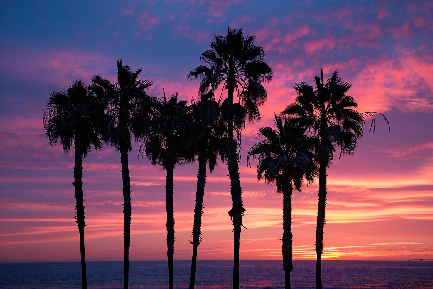 Palm Trees Silhouetted Against Fiery Sunset Nature Background photo