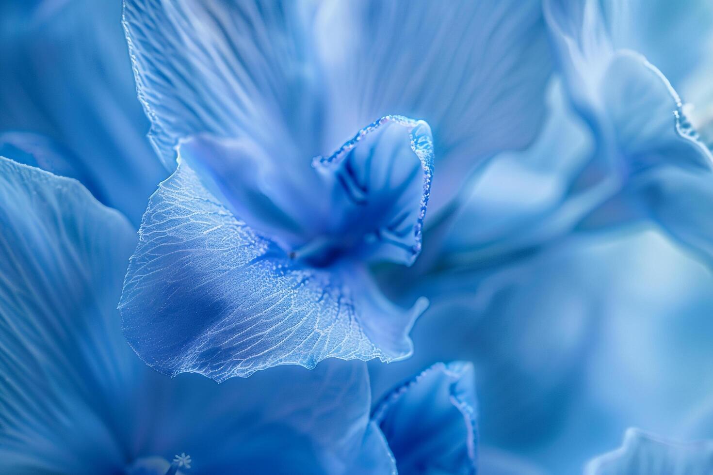 Monkshood Flower Nature Background with Mysterious Floral Touch photo
