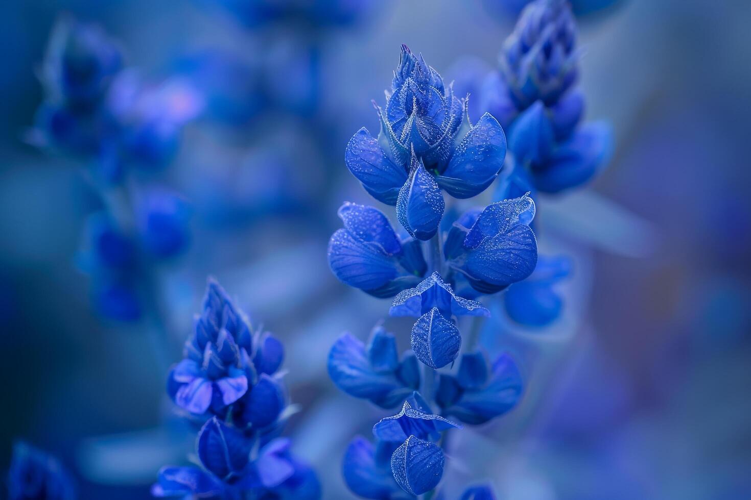Wild Indigo Nature Background with Unique Floral Features photo