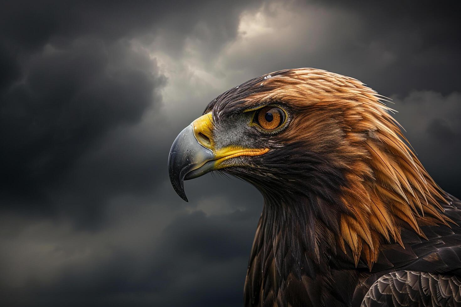 Portrait of a Golden Eagle with Piercing Eyes Against a Dramatic Cloudy Sky Nature Background photo