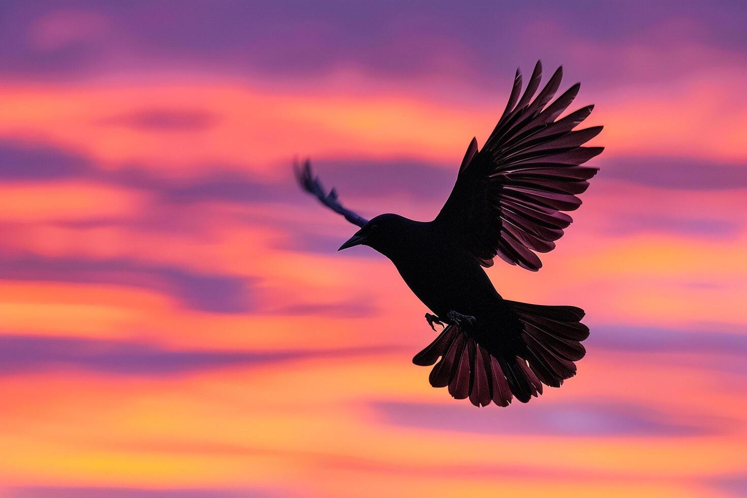 High Speeda Red Winged Blackbird in Mid Flight with Wings Spread Wide Against a  Sunset Sky and Nature Background photo
