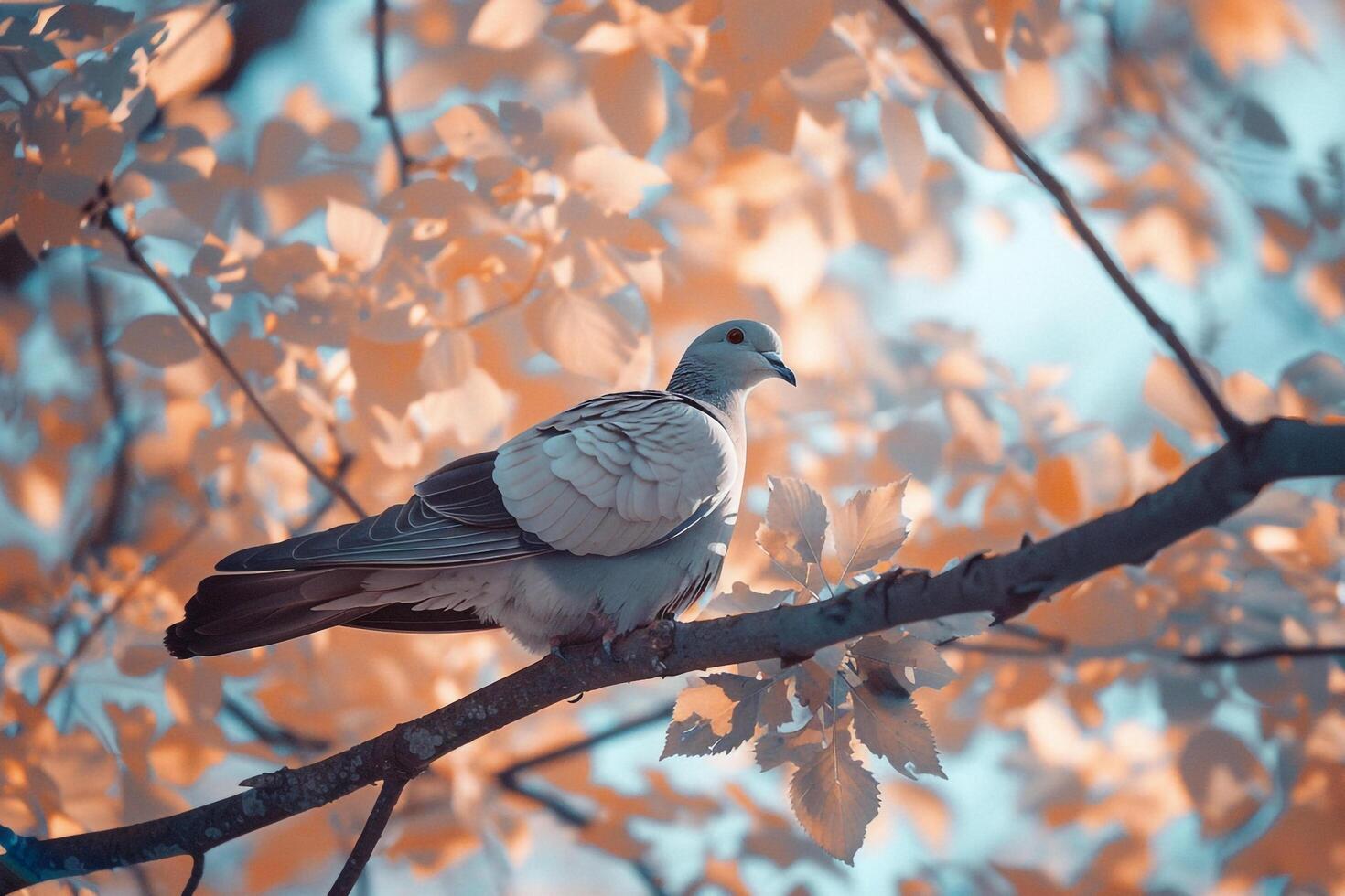 Infrareda Mourning Dove Perched on a Tree Branch with Surreal Glowing Foliage and Nature Background photo