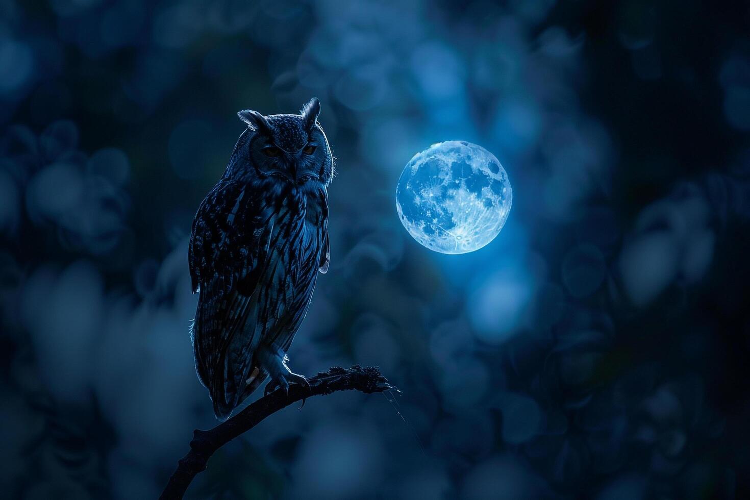 owl perched on a branch under a full moon nature background photo