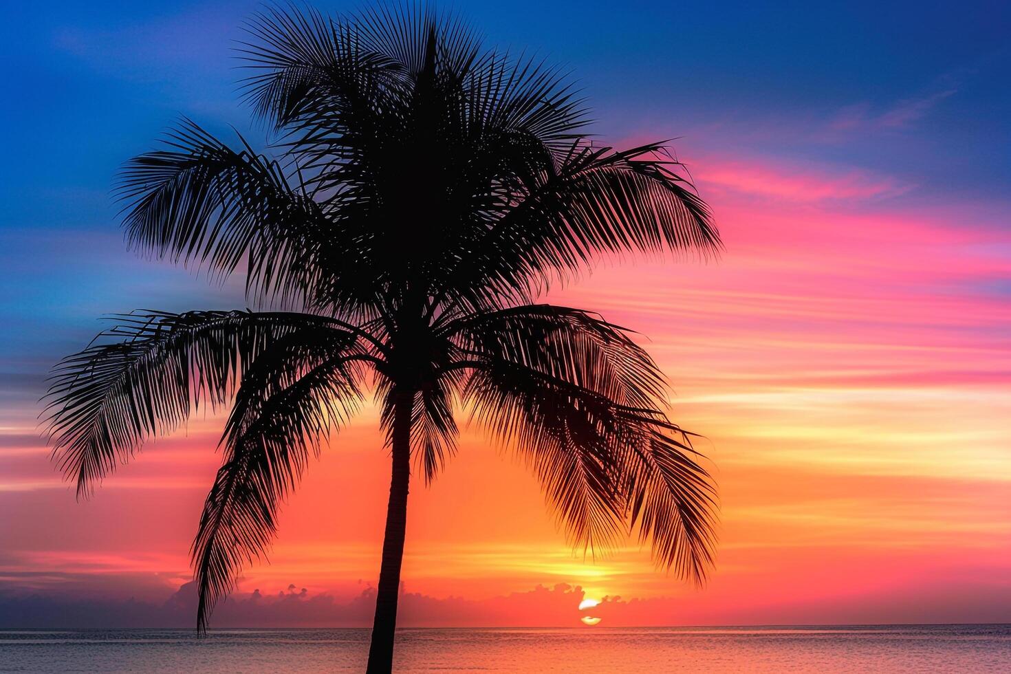Palm tree silhouette against a  sunset on the horizon nature background photo