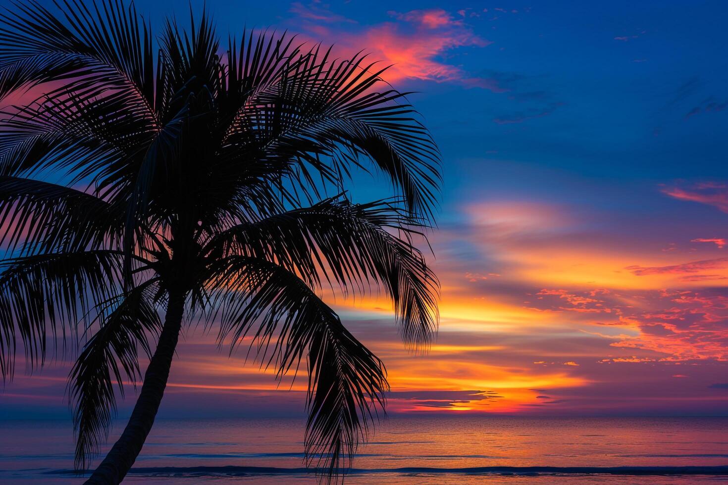Palm tree silhouette against a  sunset on the horizon nature background photo