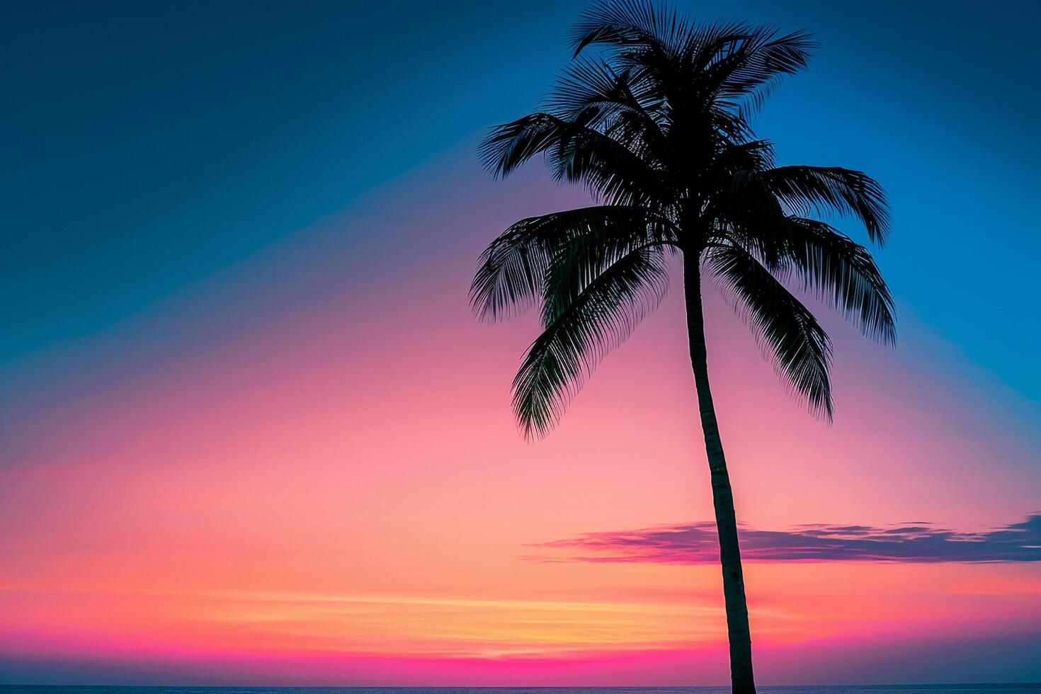 Single palm tree silhouette against a  sunset nature background photo