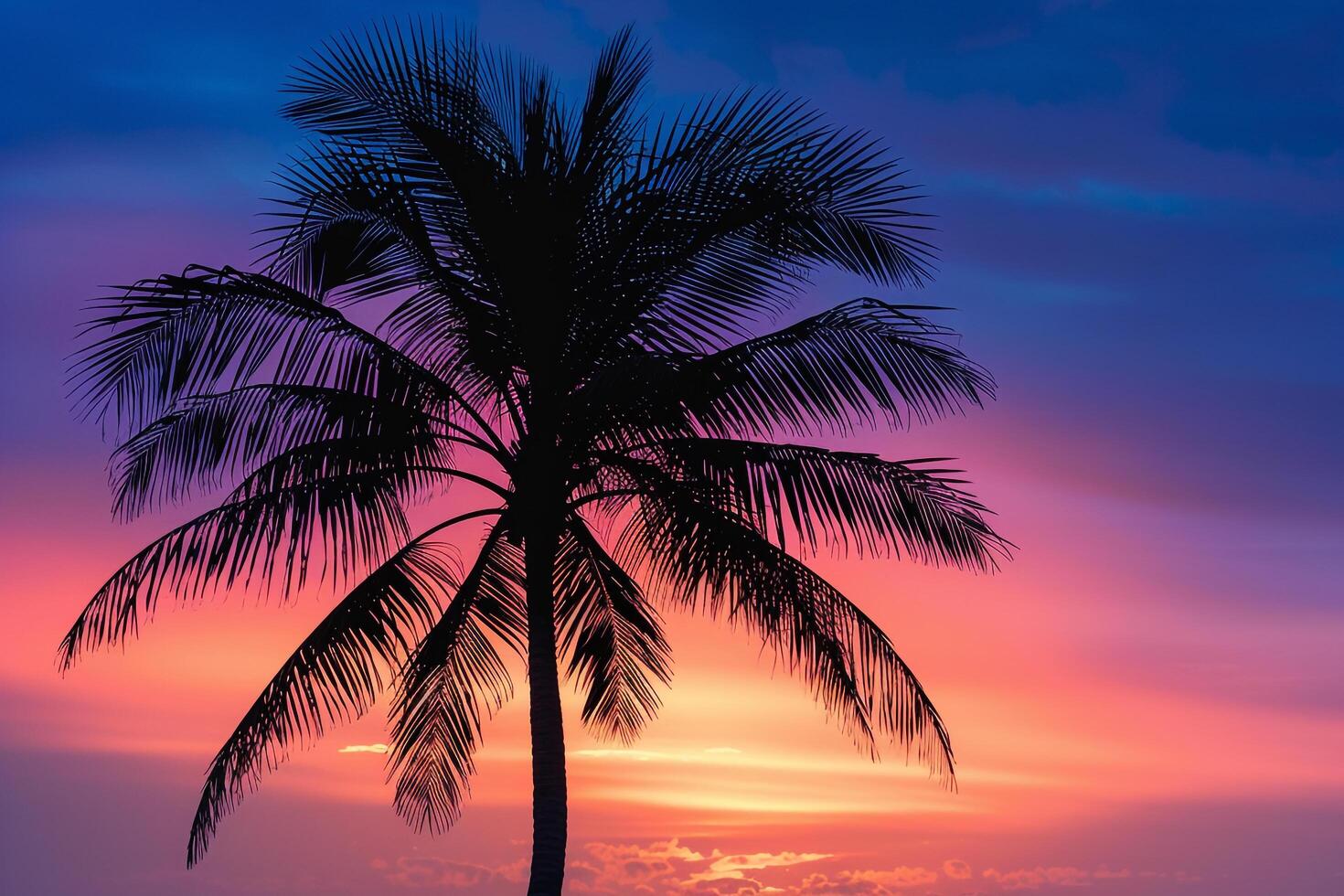 Single palm tree silhouette against a  sunset nature background photo