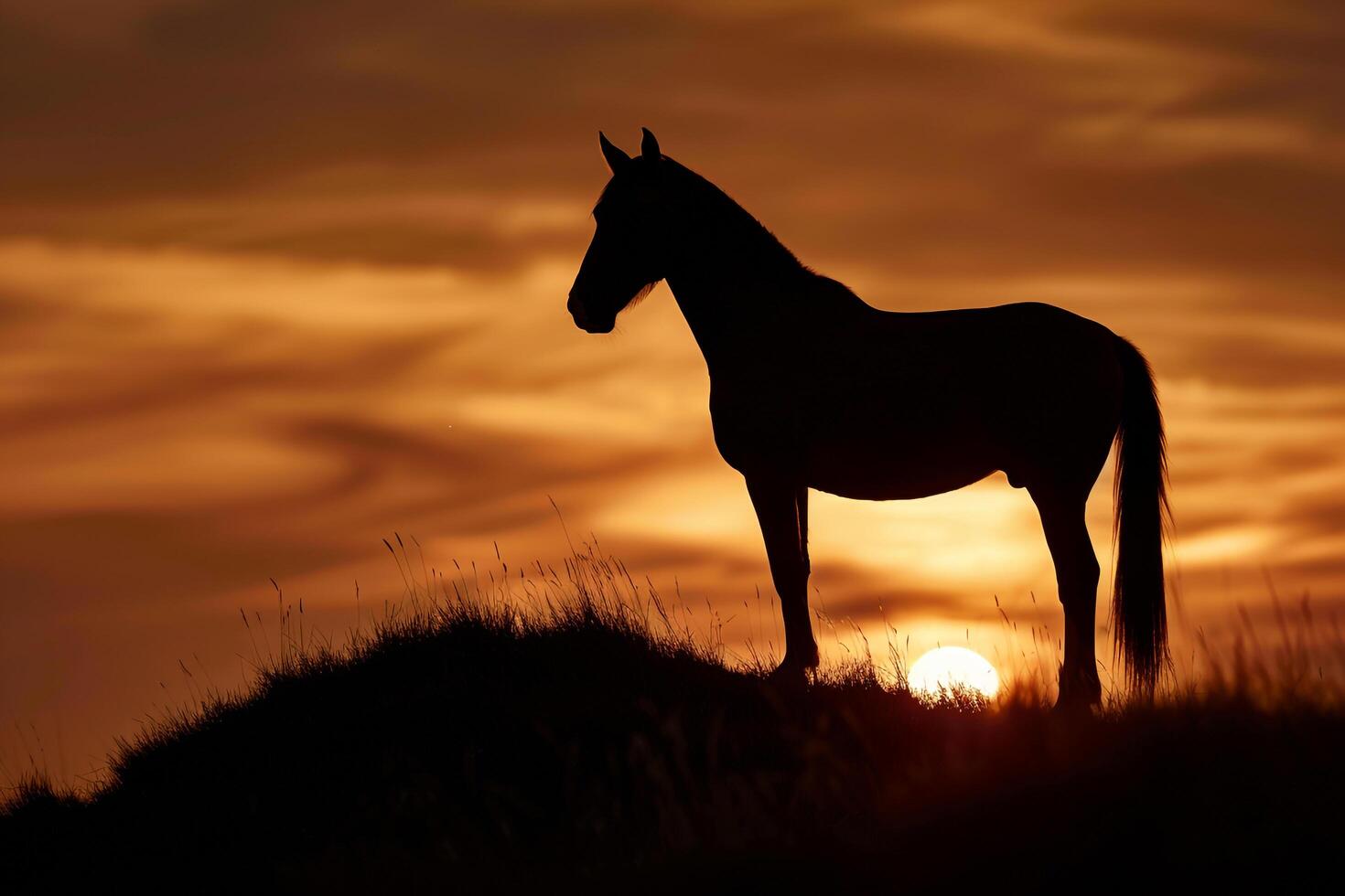 Silhouette of a Horse Standing on a Hill During Sunset with Nature Background and Golden Light photo