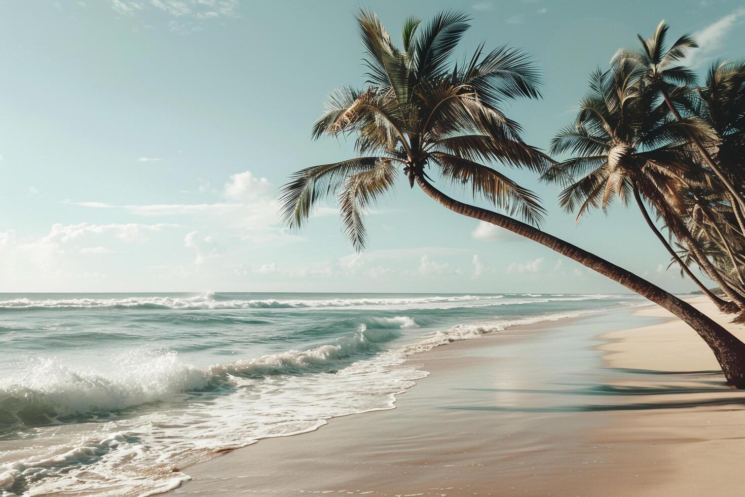 Palm Trees Swaying in the Breeze on a Sandy Beach with Gentle Waves Rolling Ashore Nature Background photo