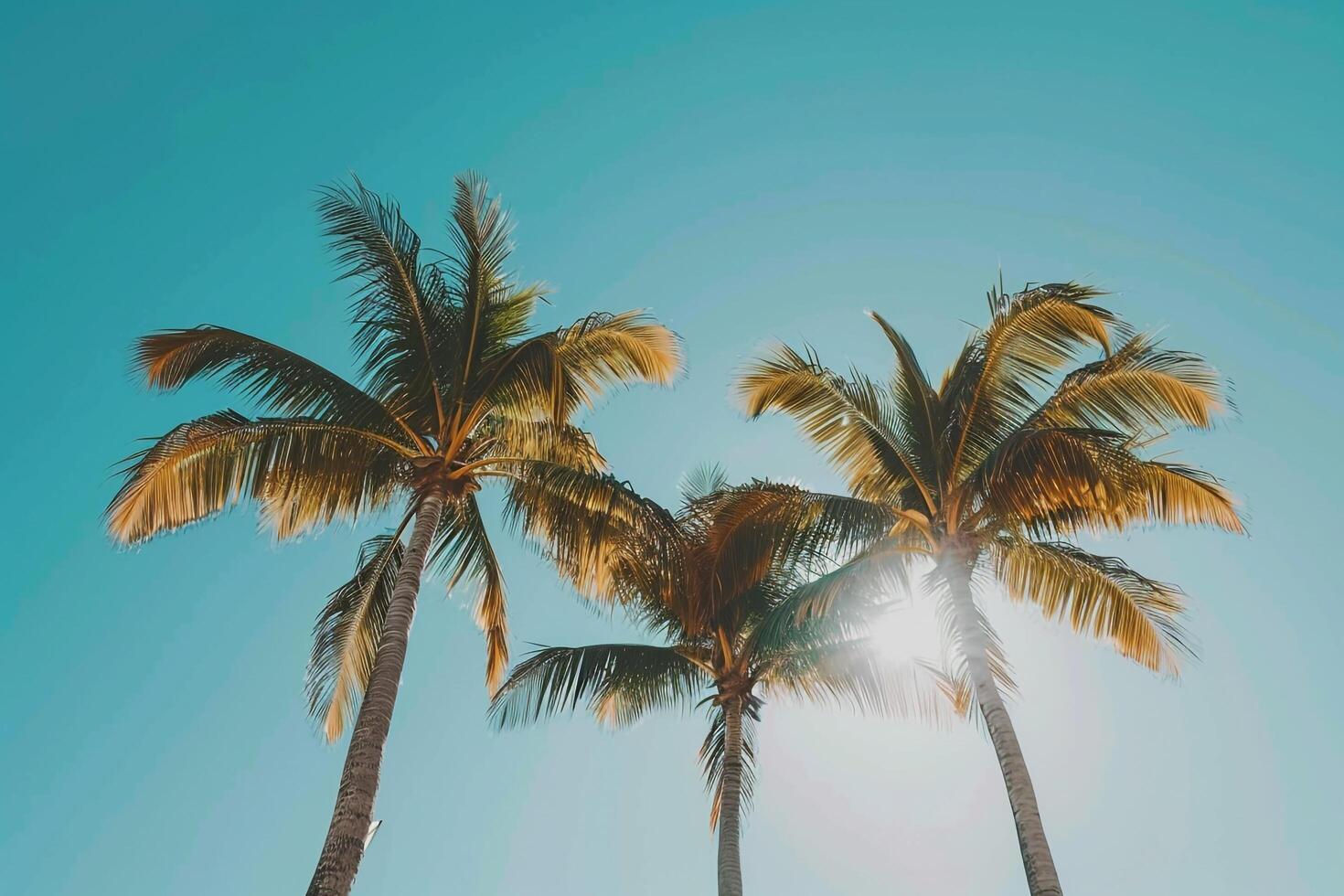 Tropical Palm Trees Against a Clear Blue Sky Nature Background photo