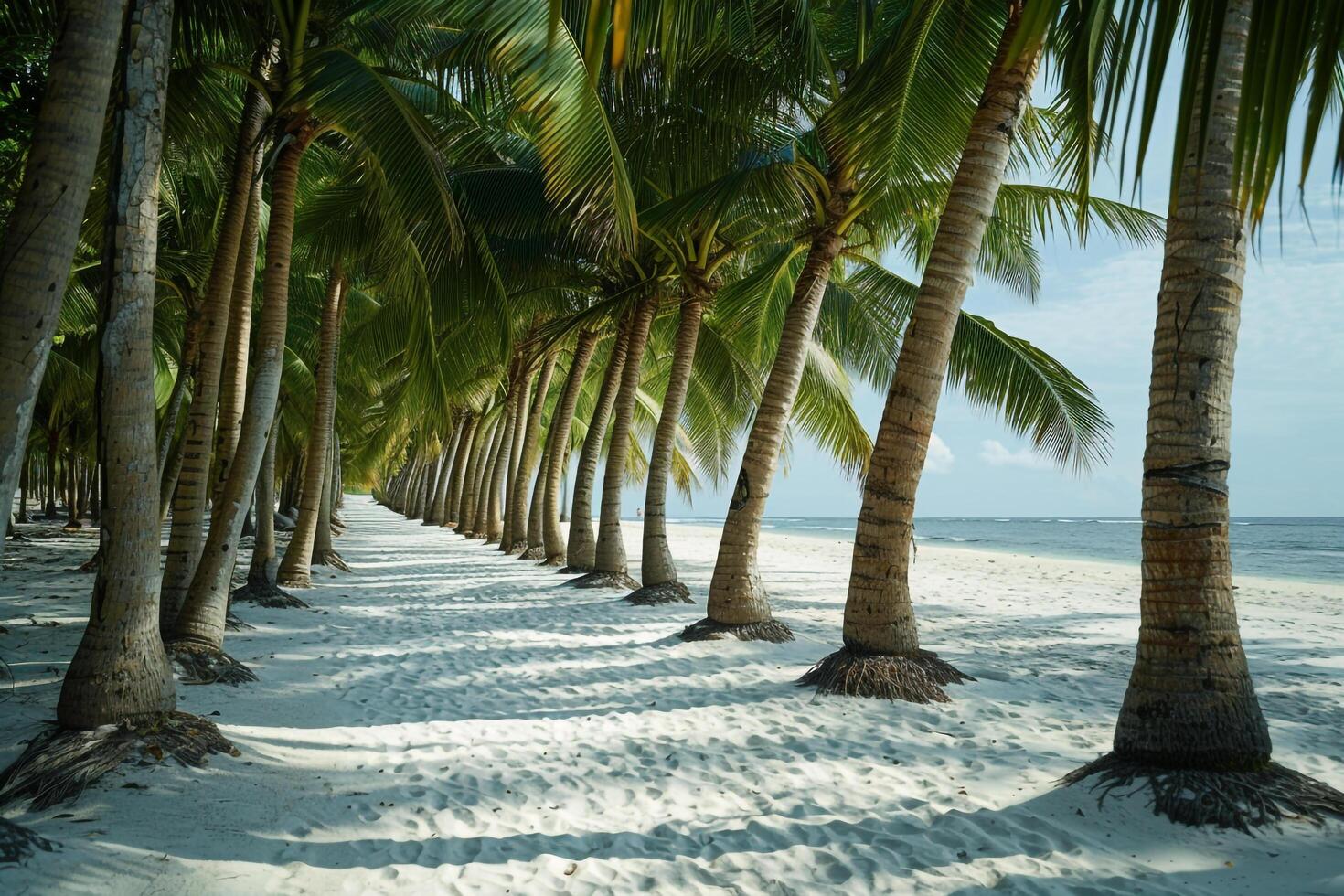Coconut Trees Lining White Sandy Beach Tropical Paradise  Nature Background photo