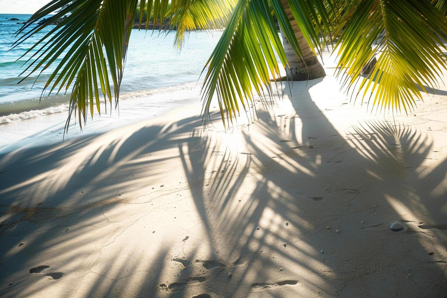 Sunlit Palms Casting Shadows on Sandy Beach Tropical Island  Nature Background photo