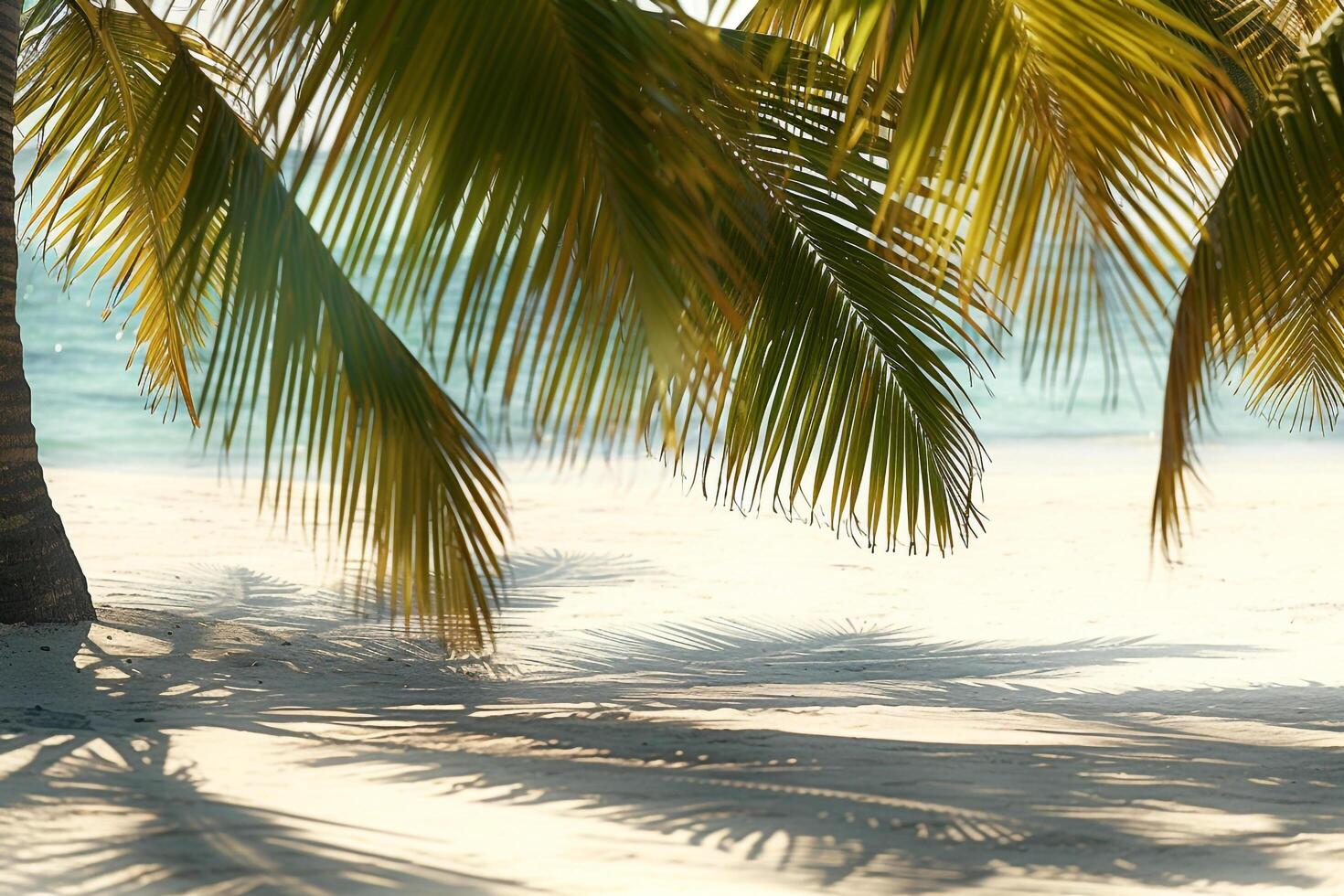 Sunlit Palms Casting Shadows on Sandy Beach Tropical Island  Nature Background photo