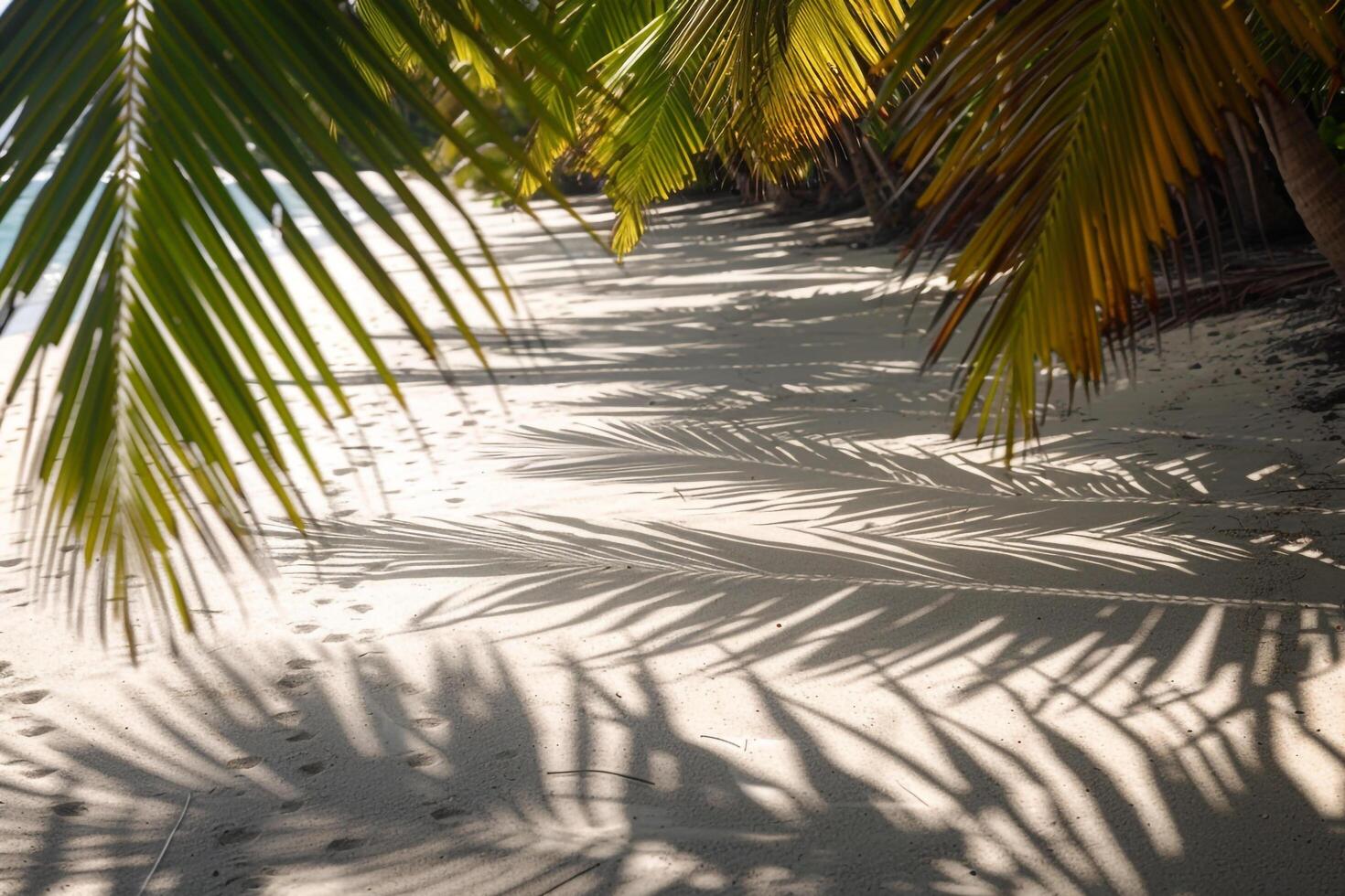 Sunlit Palms Casting Shadows on Sandy Beach Tropical Island  Nature Background photo