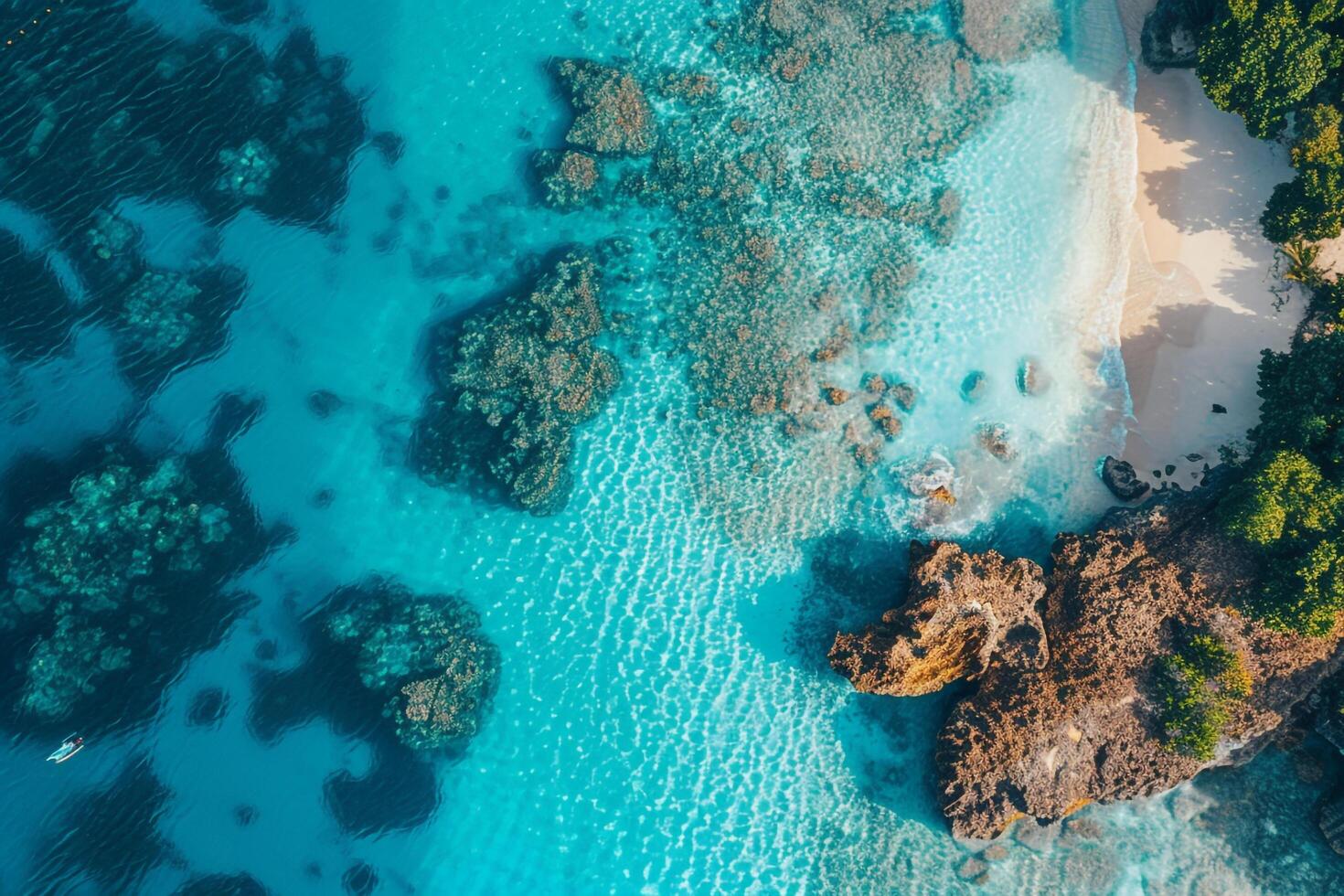 Tropical beach with turquoise waters and coral reefs visible beneath the surface background nature photo