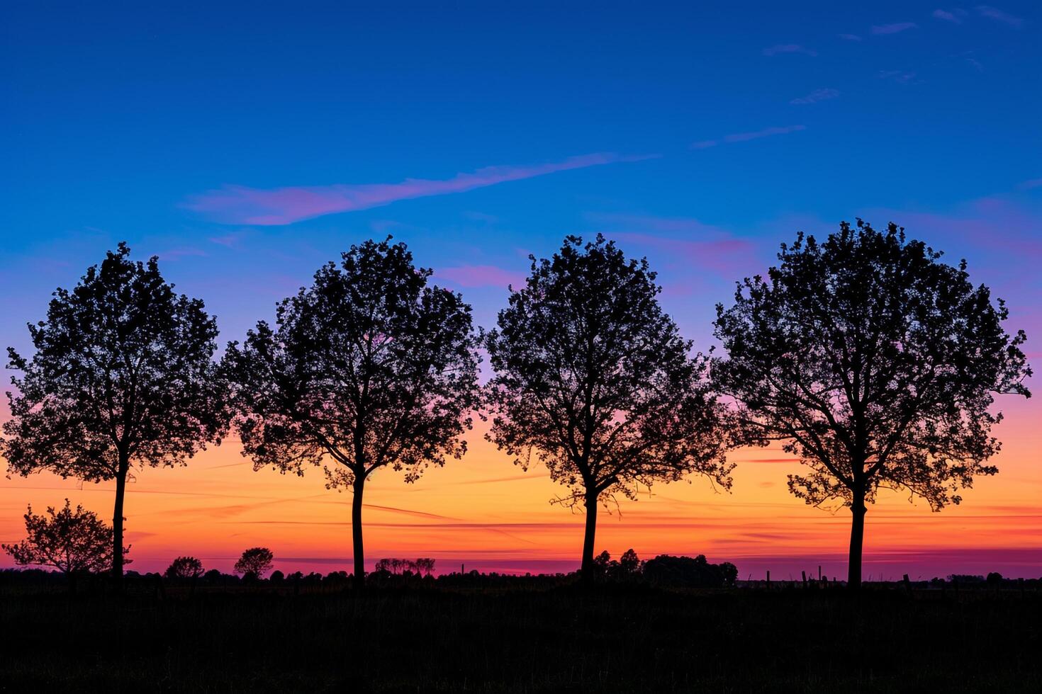 Silhouette of Trees Against a Sunset Sky Background Nature photo