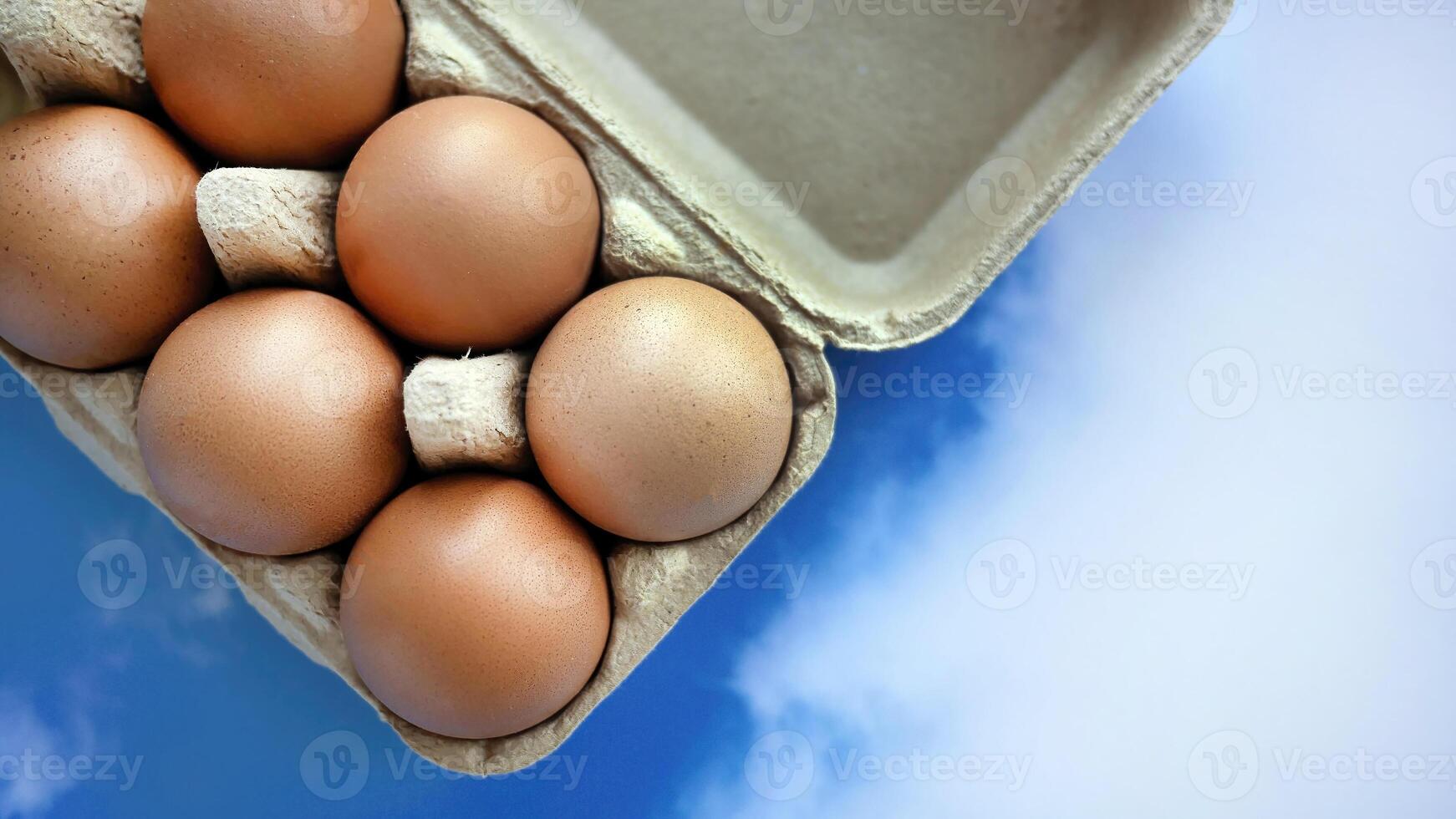 Fresh chicken eggs sits in the paper carton, online shopping concept for grocery or food store and goods selection, pastel blue sky background photo