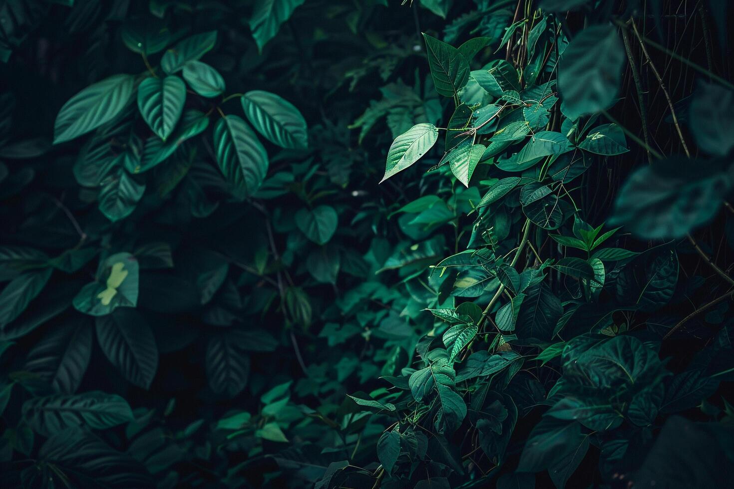 Green Tropical Jungle with Dense Foliage and Vines Nature Background photo