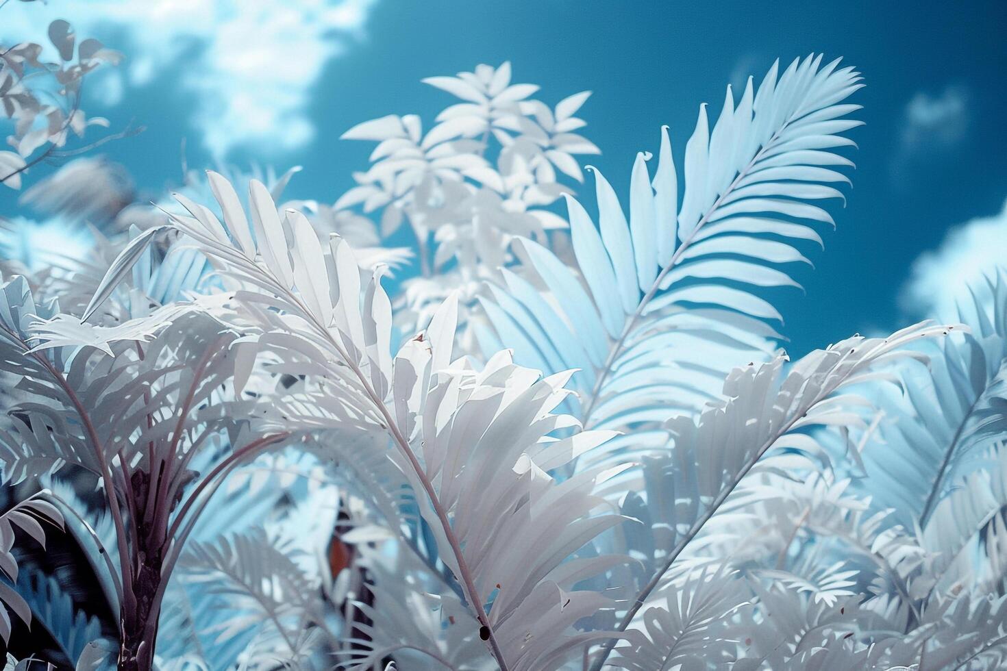 Infrared Tropical Leaves. Nature Background photo