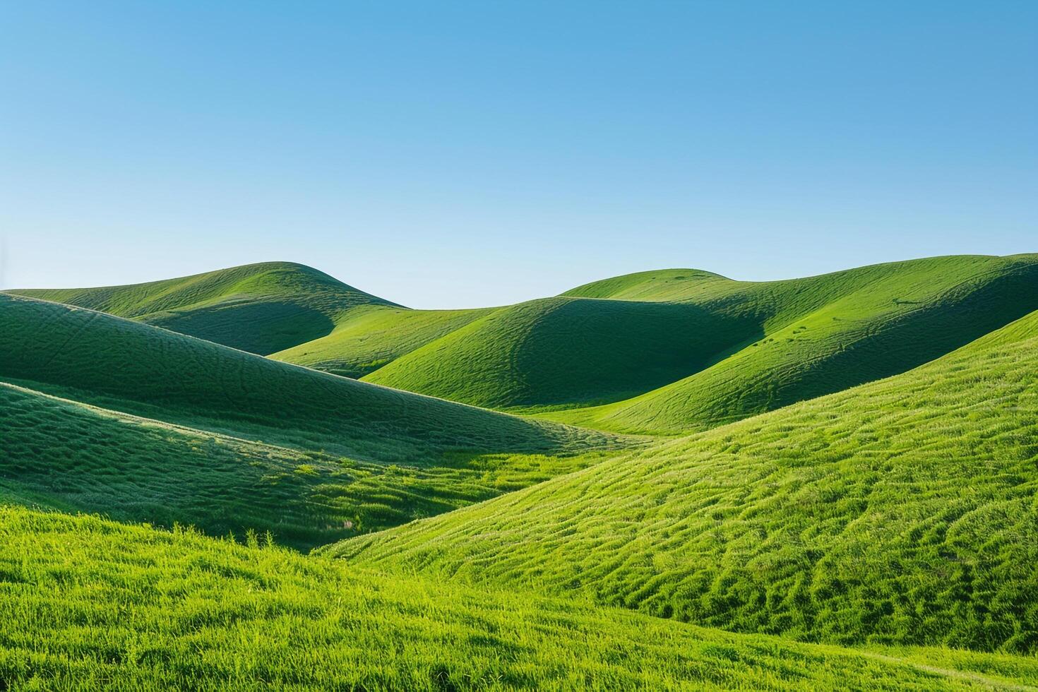 Rolling Green Hills Under a Clear Blue Sky. Nature Background photo