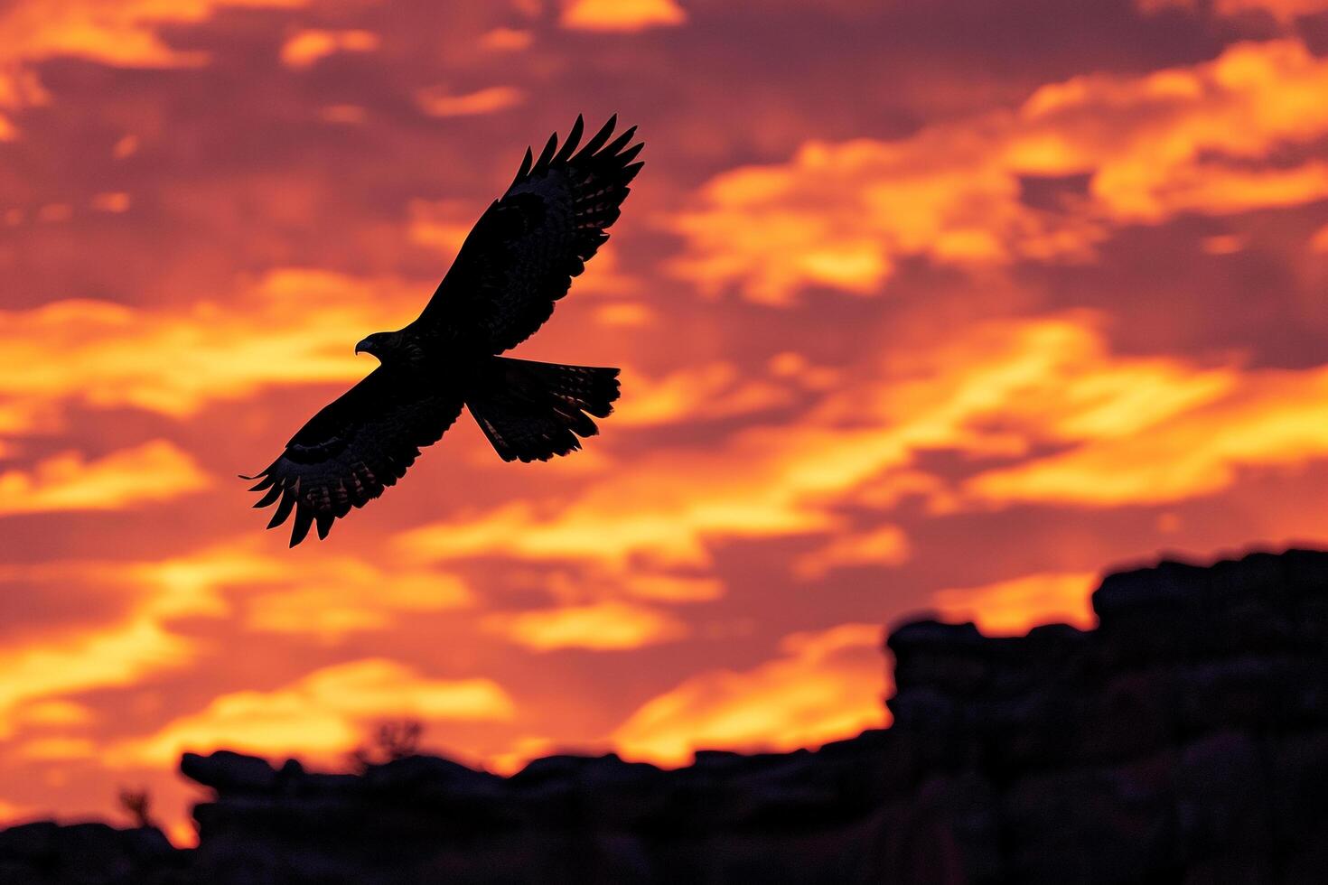 Silhouette of a Hawk Soaring High Above a Rocky Canyon with the  Colors of a Sunset Sky in the Background Nature photo