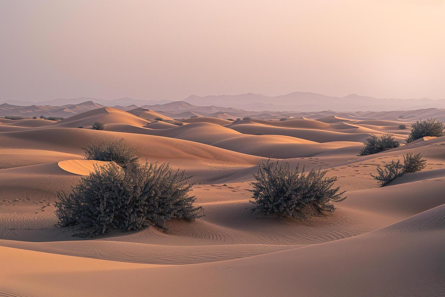 Distant Sand Dunes. Nature. Background photo