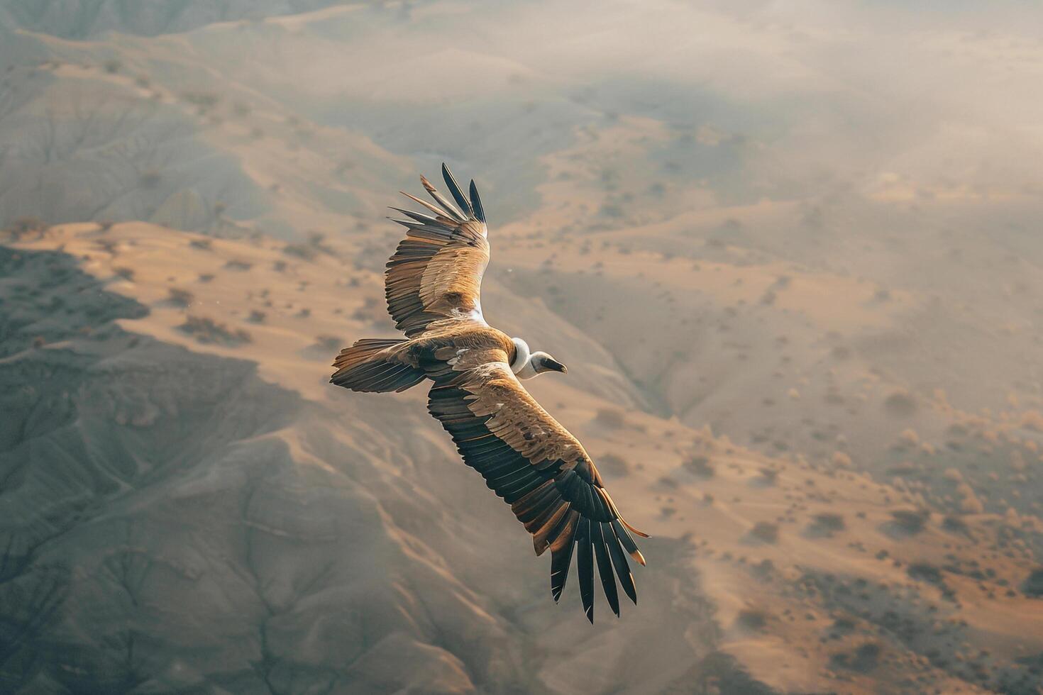 A vulture soaring high above a desert landscape. Nature. Background photo
