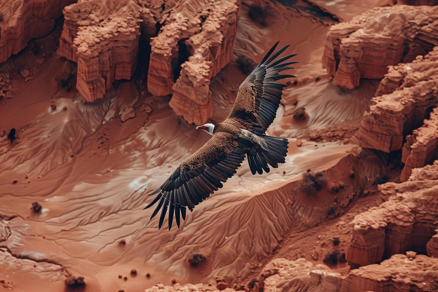 A vulture soaring high above a desert landscape. Nature. Background photo