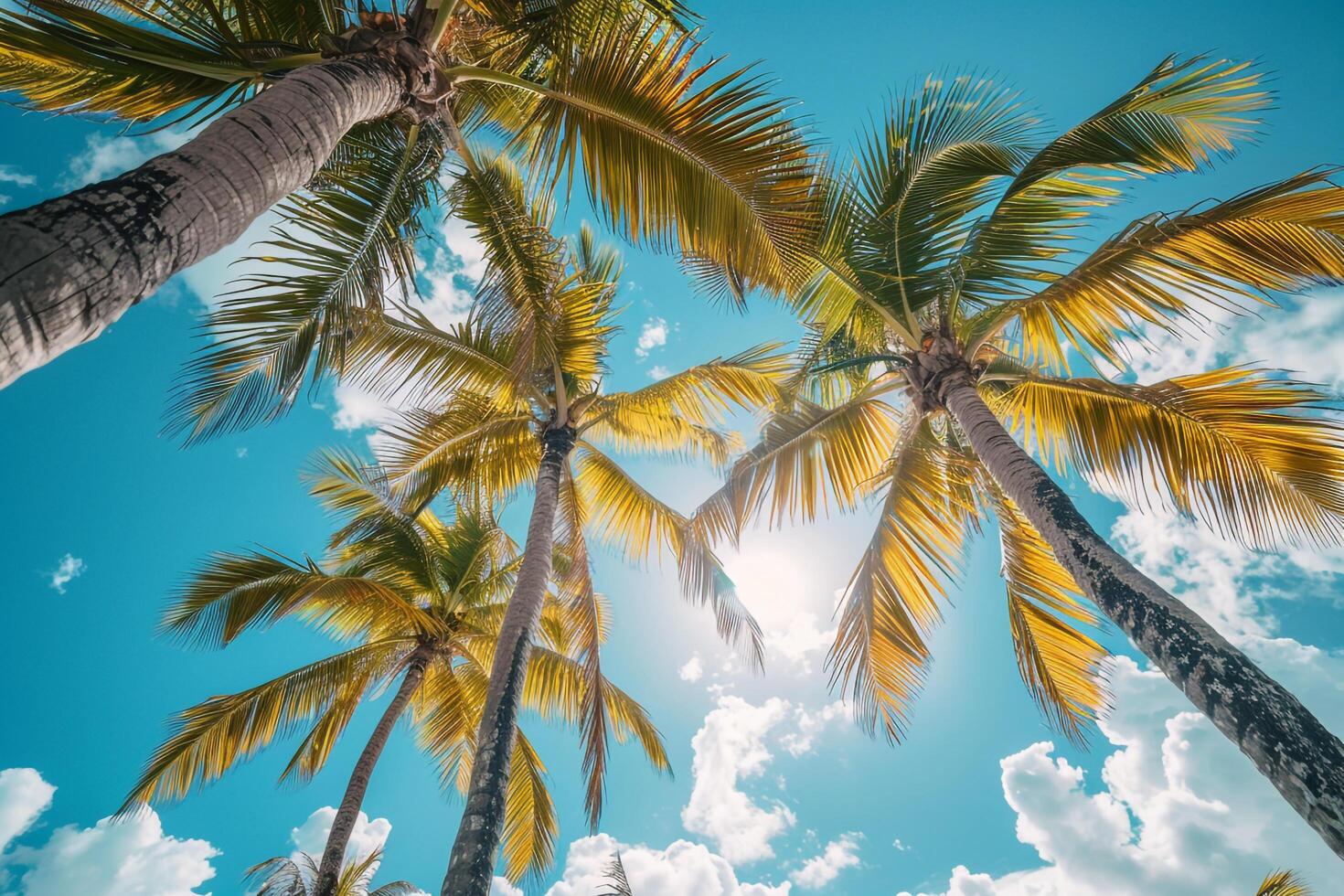 Tropical Palm Leaves Against Blue Sky Nature Background photo