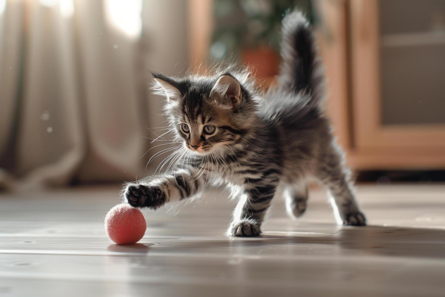 Maine Coon Kitten Playfully Chasing a Rolling Ball Toy with Fluffy Tail Swishing in an Exciting Background photo
