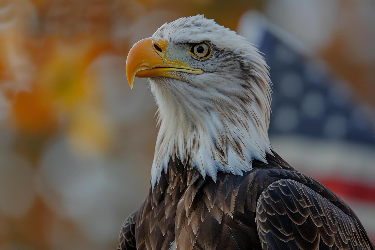American Bald Eagle with Small American Flag in Talons Background photo