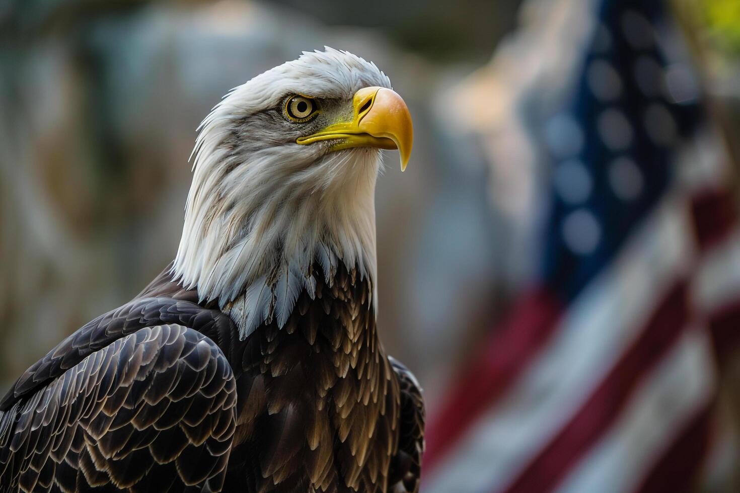 American Bald Eagle with Small American Flag in Talons Background photo