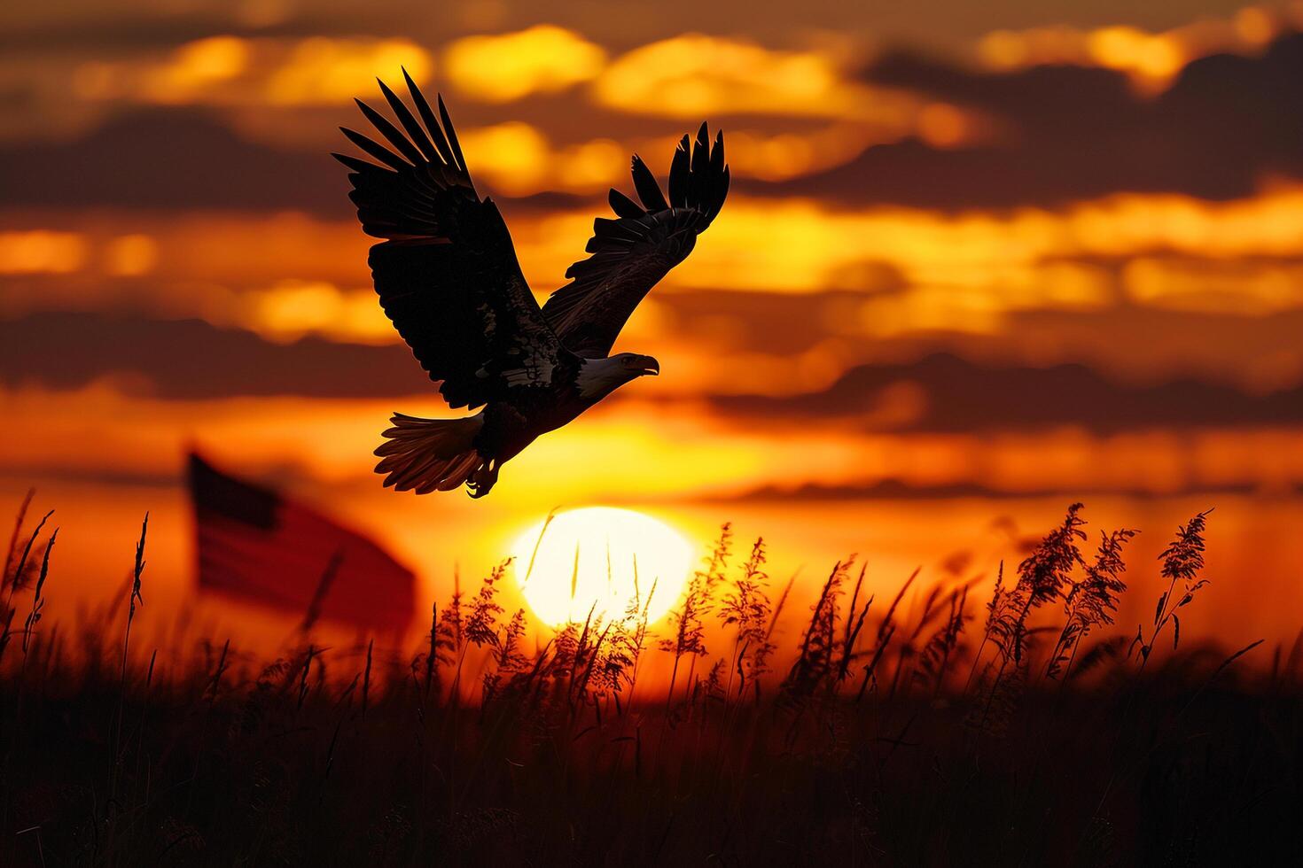 Silhouette of American Bald Eagle Flying Against Sunset Sky with American Flag Background photo