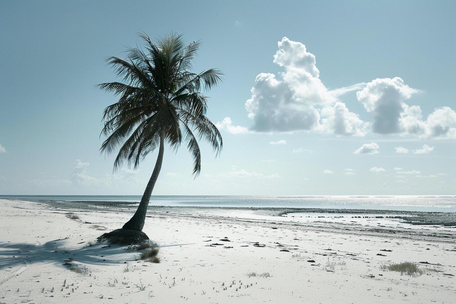 Island Beach with Turquoise Waters and a Lone Sailboat photo