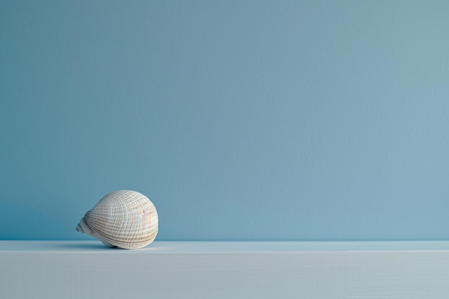 Blue Gradient Background with Single Seashell photo