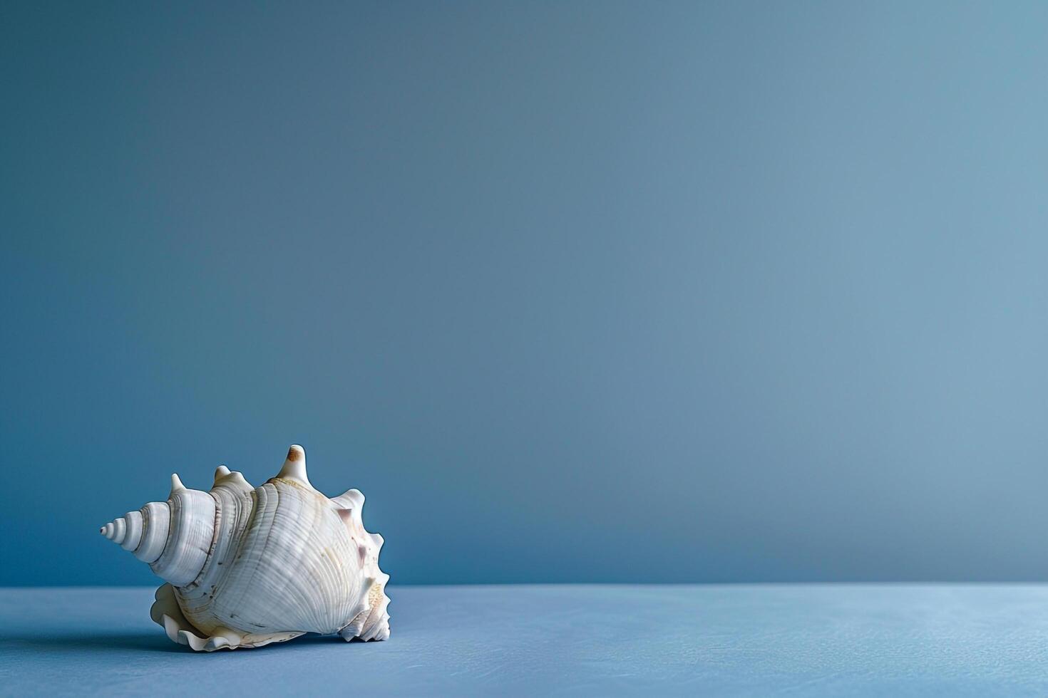 Blue Gradient Background with Single Seashell photo