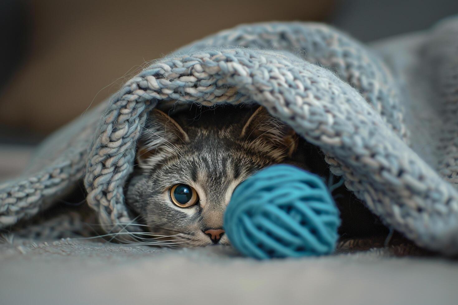 Gray tabby cat peeking from under a blanket ready to attack a toy background photo