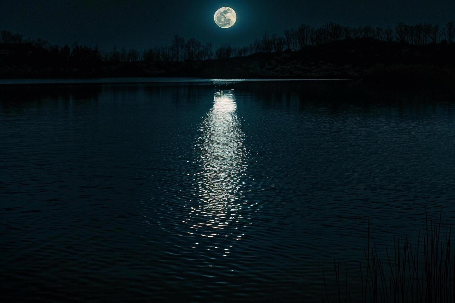 Full Moon s on Calm Lake Surface at Midnight   Background Nature photo