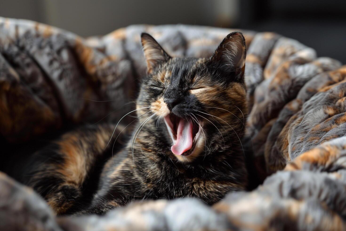 Tortoiseshell Cat Resting Comfortably in a Cozy Bed Stretching and Yawning with Blissful Ease photo