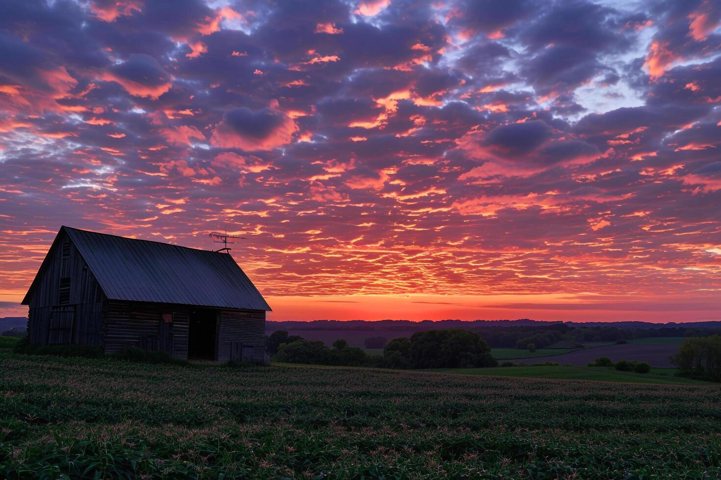 Barn with Sunset Glow Over Countryside Landscape photo