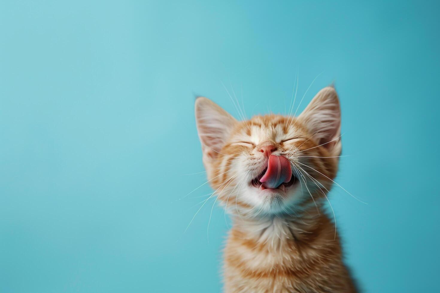 Cat with Tongue Out Against Sky Background photo