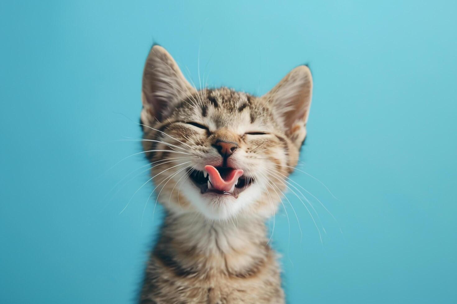Happy Cat with Tongue Out Against Sky Background photo
