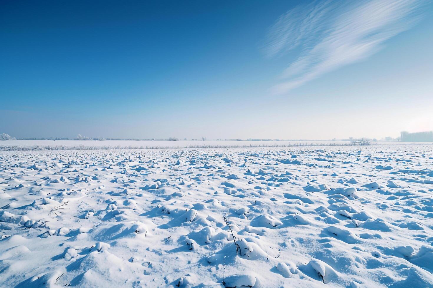 Snowy Field Beoffice workspaceh  Blue Winter Sky photo