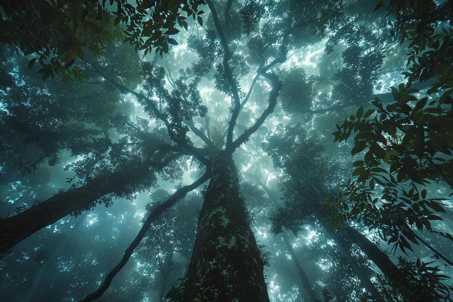 Dense Amazon Rainforest Canopy with Mist Swirling Around Ancient Trees photo