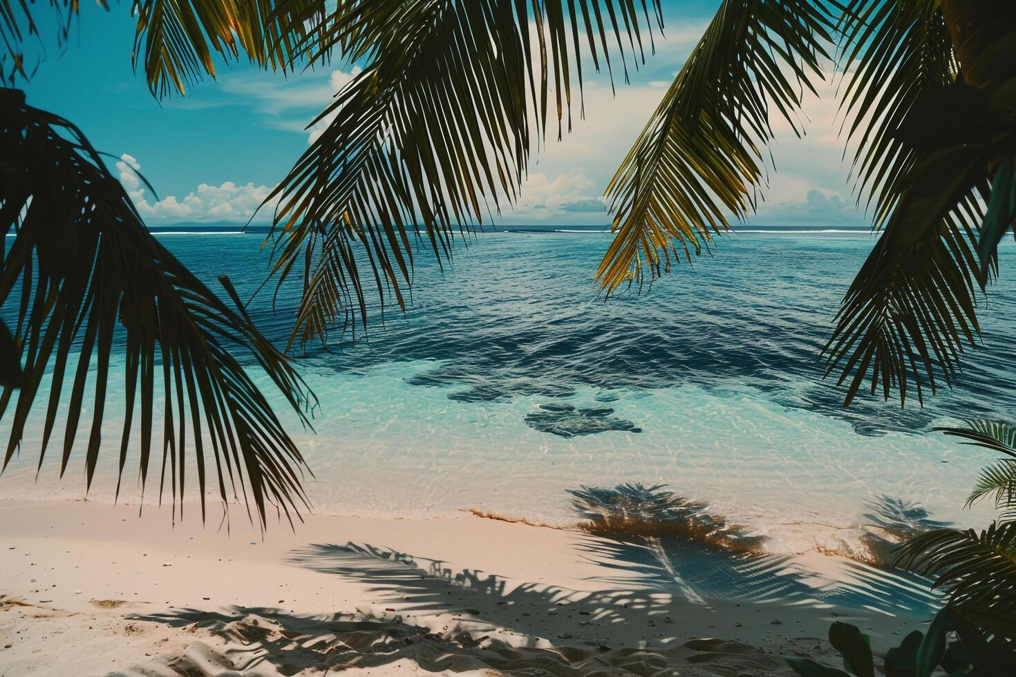 Inviting palm fringed beach with pristine white sand and turquoise waters sunny tropical paradise photo